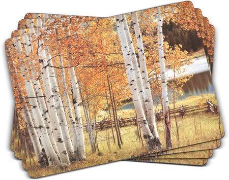 Pimpernel Birch Beauty Cork Backed Placemats set of 4