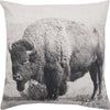 Bison Cushion 20x20 (4 in stock)