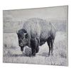 Art - North Range Framed Canvas (1 in stock)