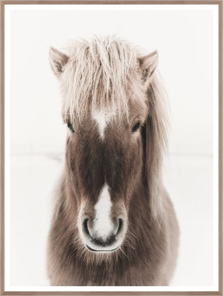 Art - Dakota  framed with glass (1 in stock)
