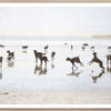 Dogs Day At The Beach Medium Art framed with glass (1 in stock)