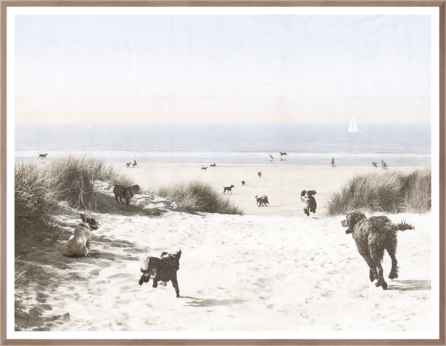 Art - Dogs Only Beach Framed with Glass Large (1 in stock)