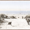 Art - Dogs Only Beach Framed with Glass Large (1 in stock)