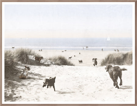 Art - Dogs Only Beach Framed with Glass Large (1 in stock)