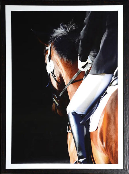 Art - Equestrian Detail framed with glass (1 in stock)