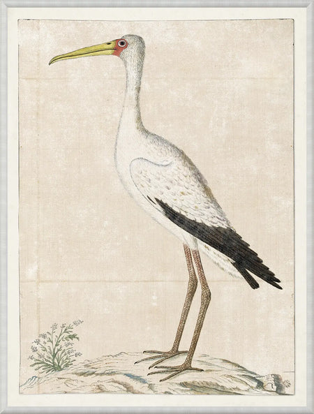 Art  - Gordon - Wood Stark 1778 Framed w/glass