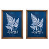 Nature's Blueprints Framed with glass 2 styles (2 in stock)