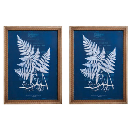 Nature's Blueprints Framed with glass 2 styles (2 in stock)