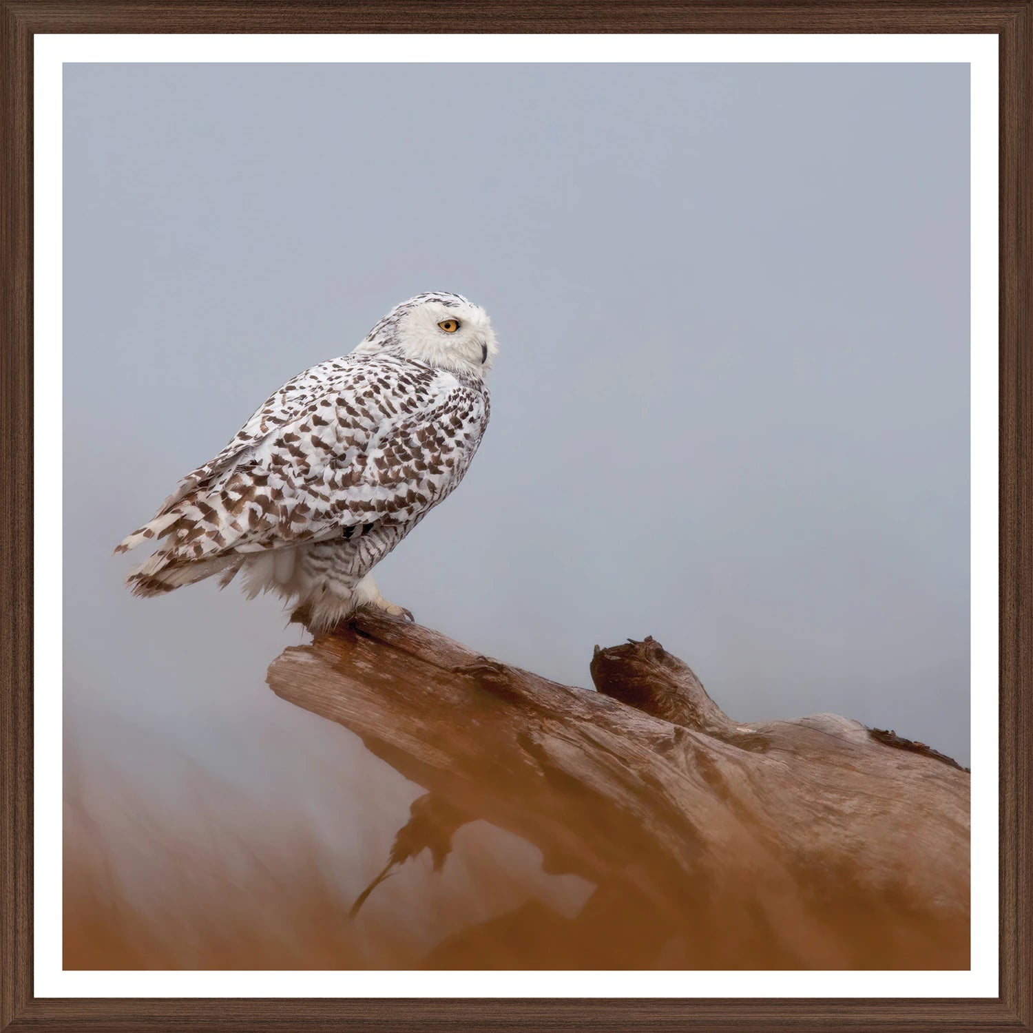 On Watch Art Framed with Glass (1 in stock)