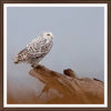 On Watch Art Framed with Glass (1 in stock)