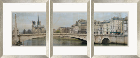 Panorama de Paris set of 3 Framed Art with glass