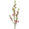 Pink Wax Flower Stem  (3 in stock)
