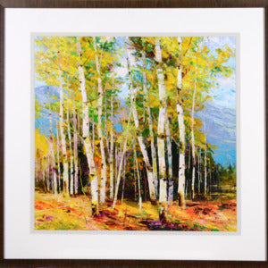 Spring Mountain Framed Art with glass