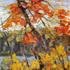 The Maple Art Canvas Thomson  40 x 48 (1 in stock)