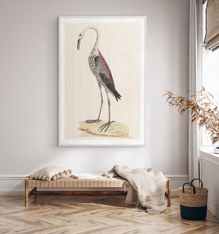 Watercolour Bird - Dark Rail c 1790 Framed with Glass (1 in stock)