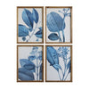Blue Botanical Art Framed with Glass   (6 in stock)