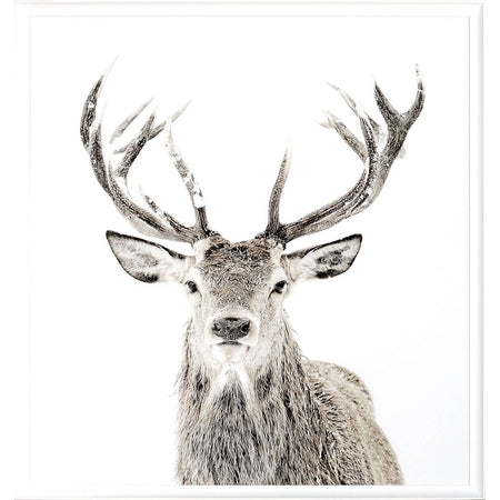 Art - Stag Large (One Piece) framed with glass (1 in stock)