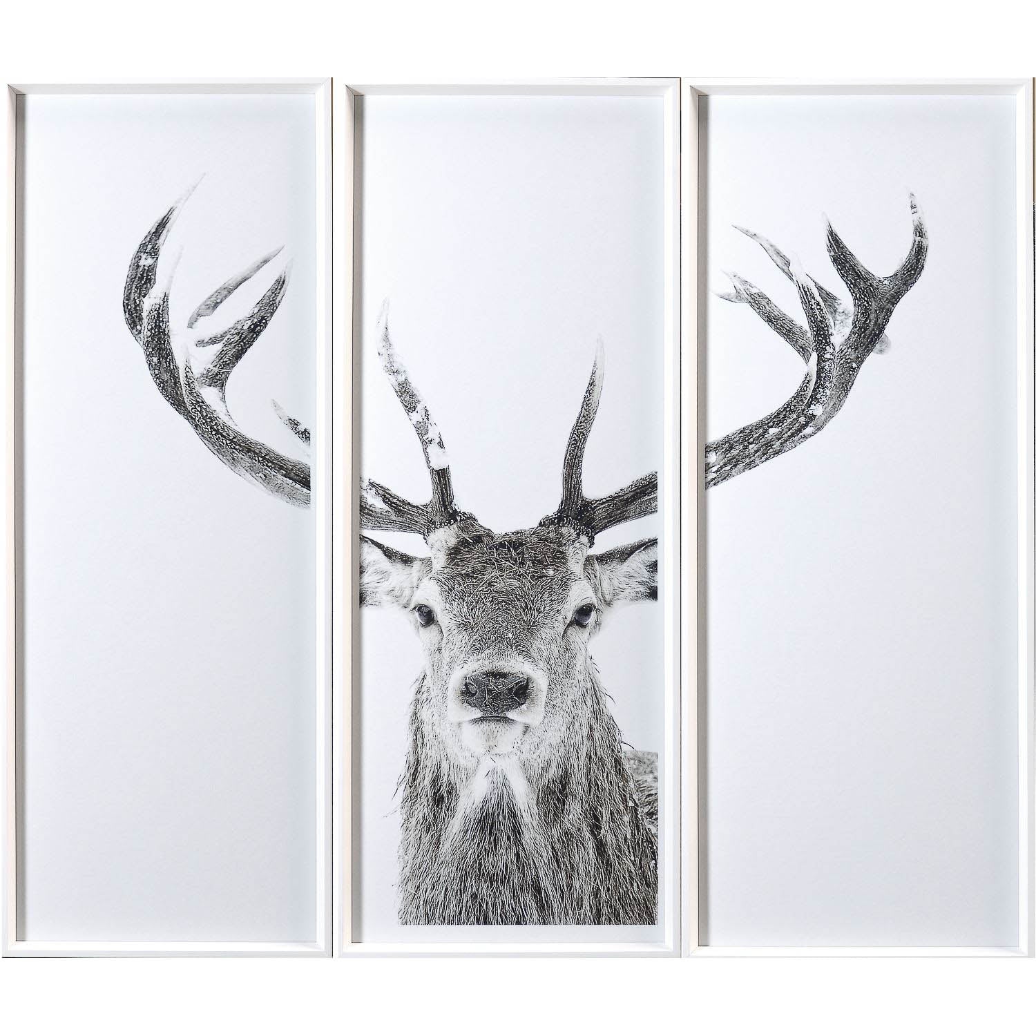 Stag - Triptych