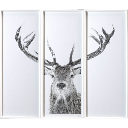 Stag - Triptych