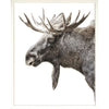 Art - Algonquin Moose framed with glass