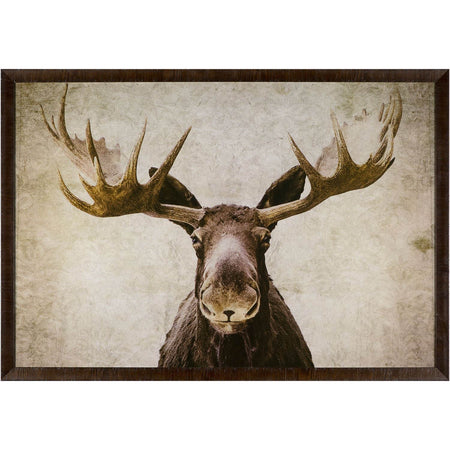 Elmer Framed Art with glass