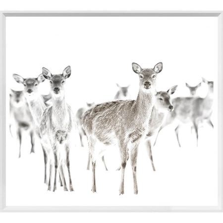 Art Framed with Glass Mod. Farm - Surveillance - Mini - White