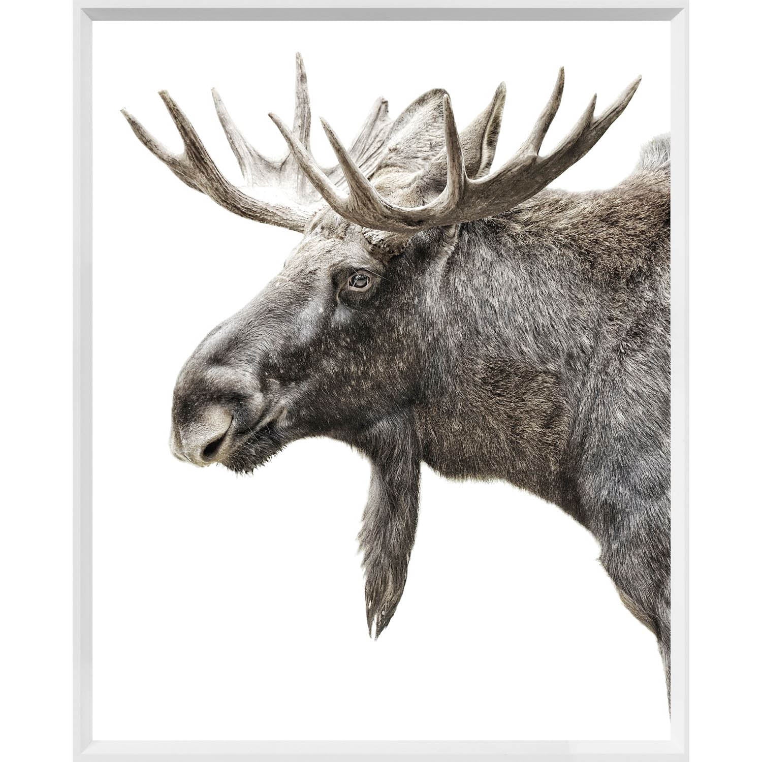 Mod. Farm - Algonquin Moose - Mini - White (1 in stock)