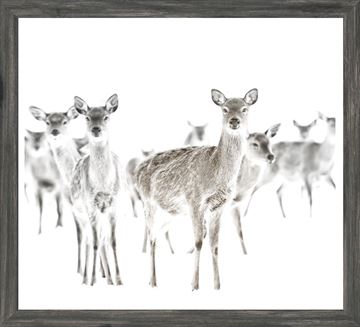 Mod. Farm - Surveillance - Mini Framed with Glass- Grey (1 in stock)