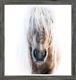 Modern Farm - Palomino Grey - Mini - Grey Framed Art