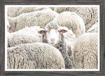 Modern Farm - One in the Crowd - Mini - Grey Framed Art