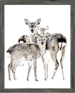 Mod. Farm - Maternal Vigil - Mini Framed with Glass- Grey