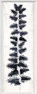 Frond 11 Cream and Indigo Framed Art with Glass