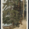 Art  -  Treescape C. 1886  Vintage Collection Framed (1 in stock)