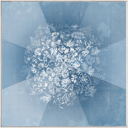 Art  - Sea Tangle framed canvas (1 in stock)