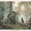 Art  - Morning In A Pine Forest C. 1889 Small Northern Collection Framed (1 in stock)
