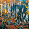 Tom Thomson In the Northland Art Canvas  38 x 46