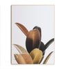 Plant Foliage Framed Giclee Art (1 in stock)
