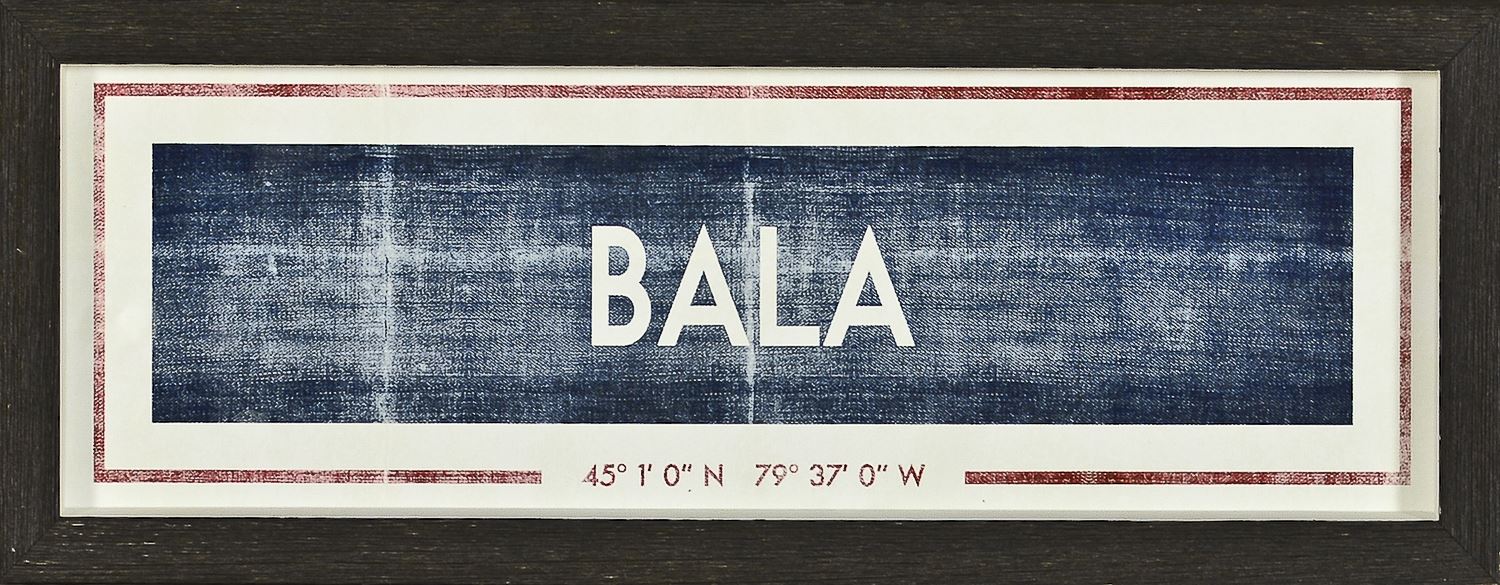 Bala  Framed Art with glass