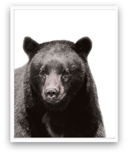 Black Bear - Close Encounters Collection framed with glass 19" x 23" (1 in stock)