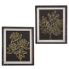 Black Botanical Art Framed with Glass  2 styles (2 in stock)