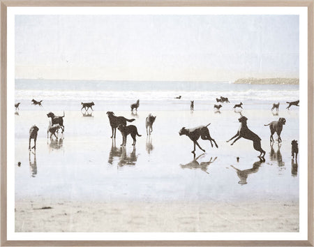 Dogs Day At The Beach Small Art framed with glass