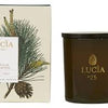 Lucia Douglas Pine 55 Hour Candle (2 in stock)