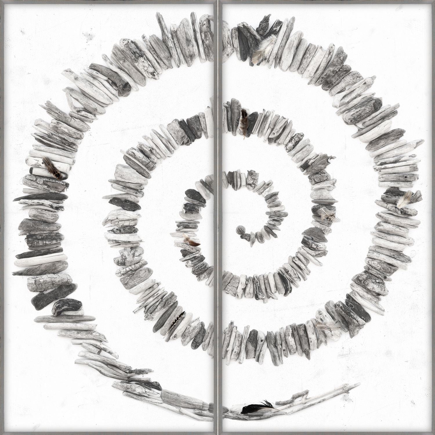 Driftwood Around Diptych Framed Art with Glass set of 2