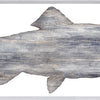 Driftwood Trout framed with glass