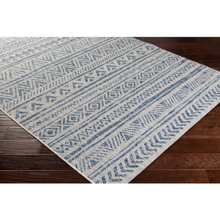 Eagan Outdoor Rug Blue/White 7'10"'x 10'3"(2 in stock)