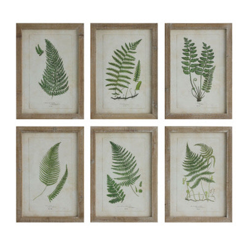 Fern Art Framed assorted  6 styles