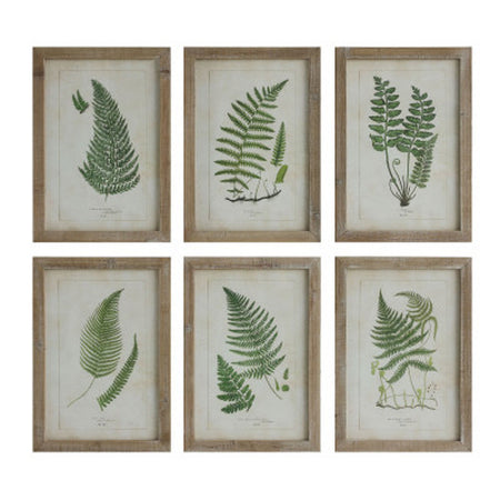 Fern Art Framed assorted  6 styles
