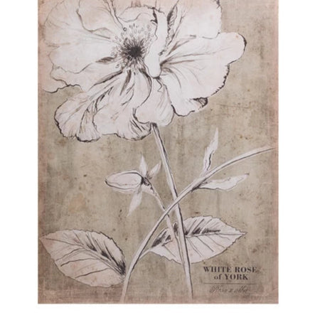 Botanical Art  (1 in stock)