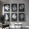 Art - Foliage Framed Art with Glass set of 6