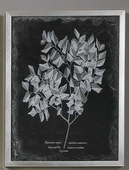 Art - Foliage Framed Art with Glass set of 3 (1 set in stock)